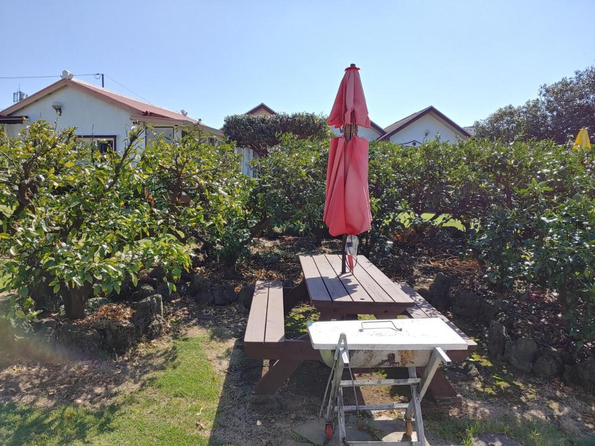 橘子度假屋 西归浦市 外观 照片
